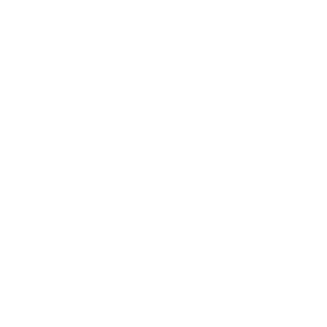 icon-gear